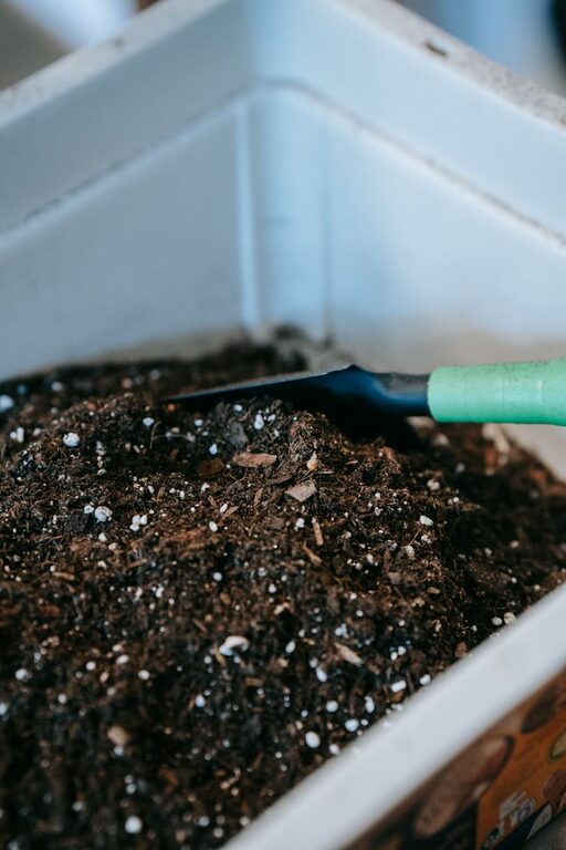 Sfaturi pentru începători pentru compostarea acasă